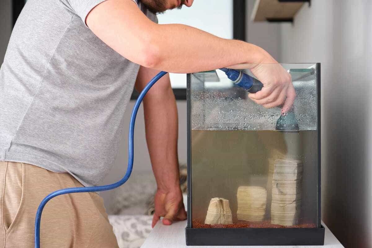 akvaryum temizliği yapan adam