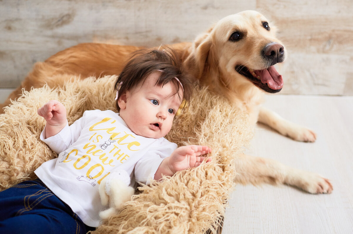 köpeğe yaslanmış yatan bebek