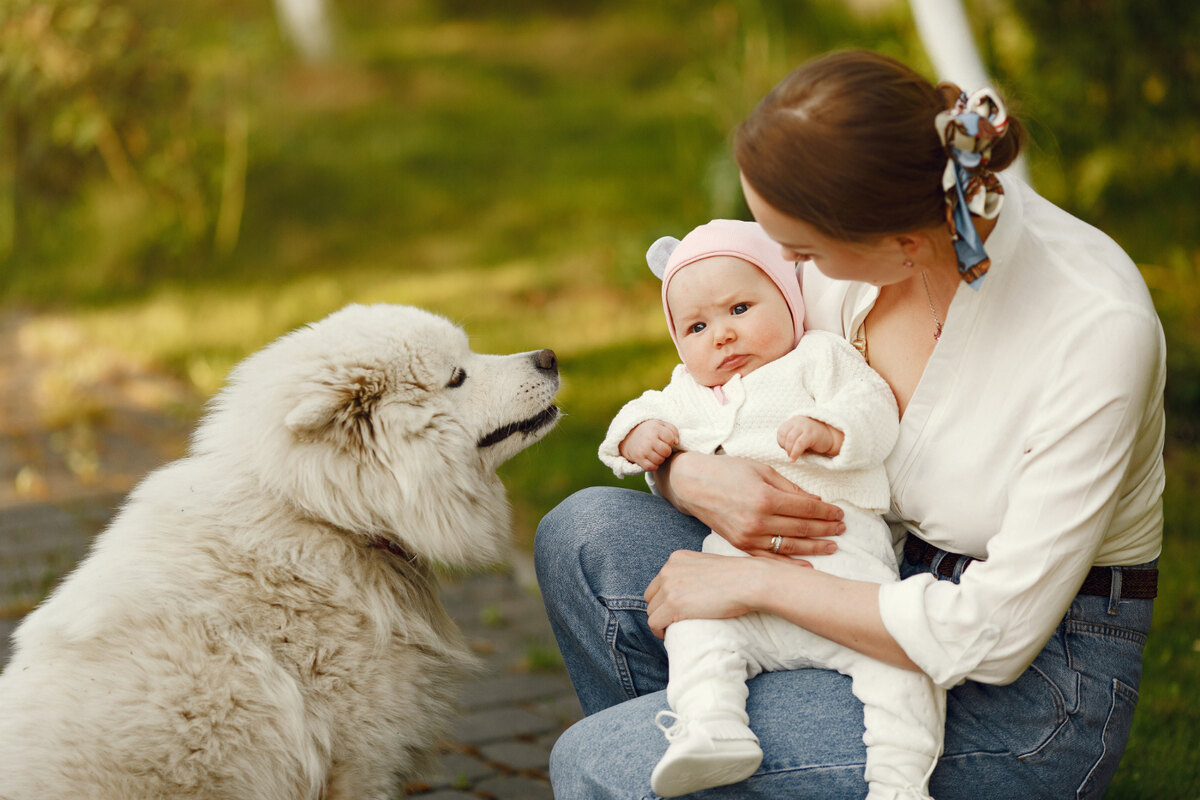 dışarıda zaman bebek, köpek ve anne 