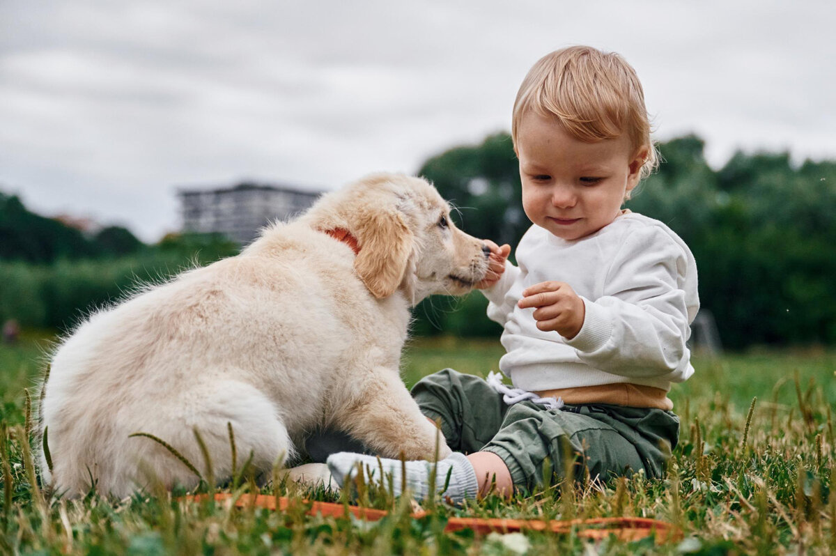 çimlerde oturan bebek ve köpek