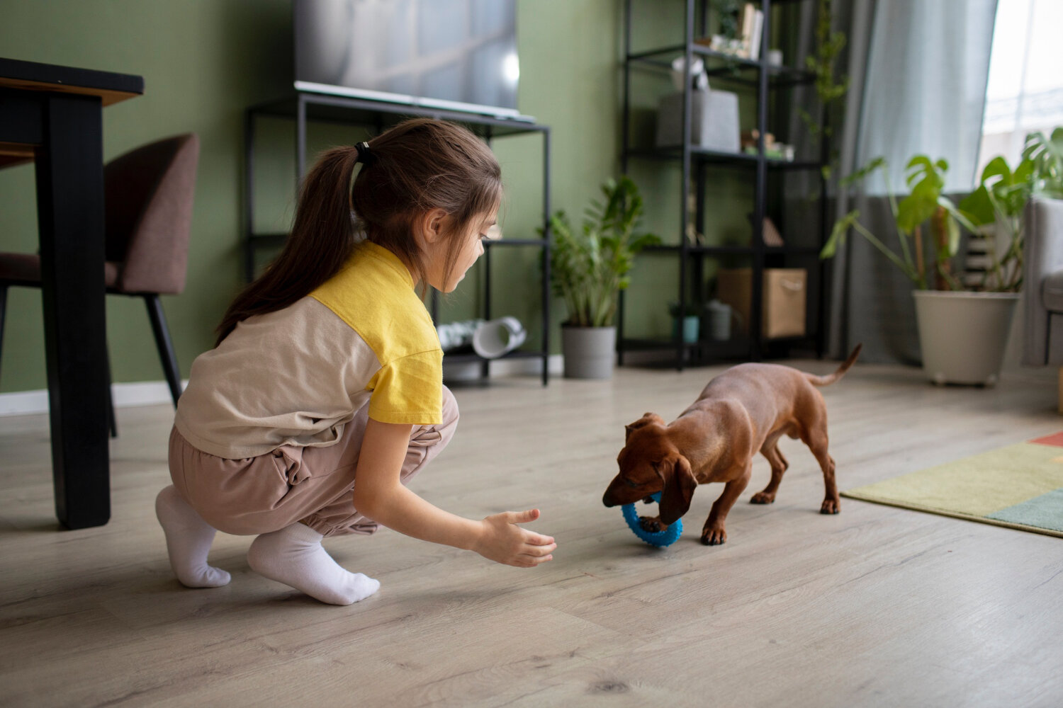 çocukla oynayan yavru köpek