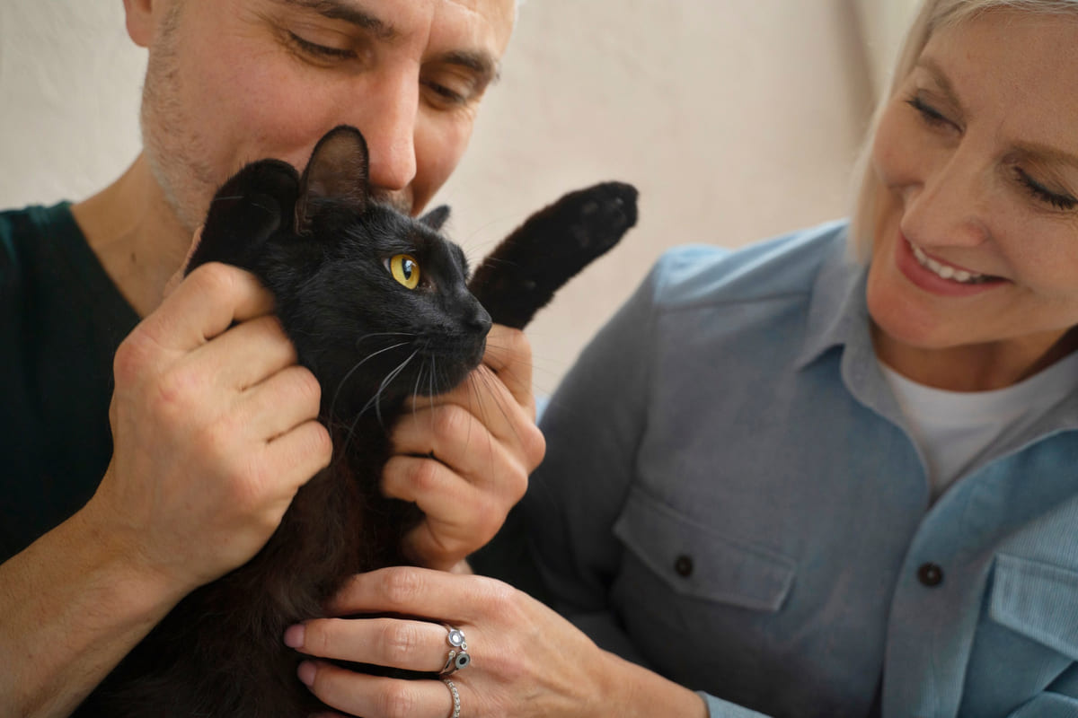 sahibinin kucağında olan siyah kedi