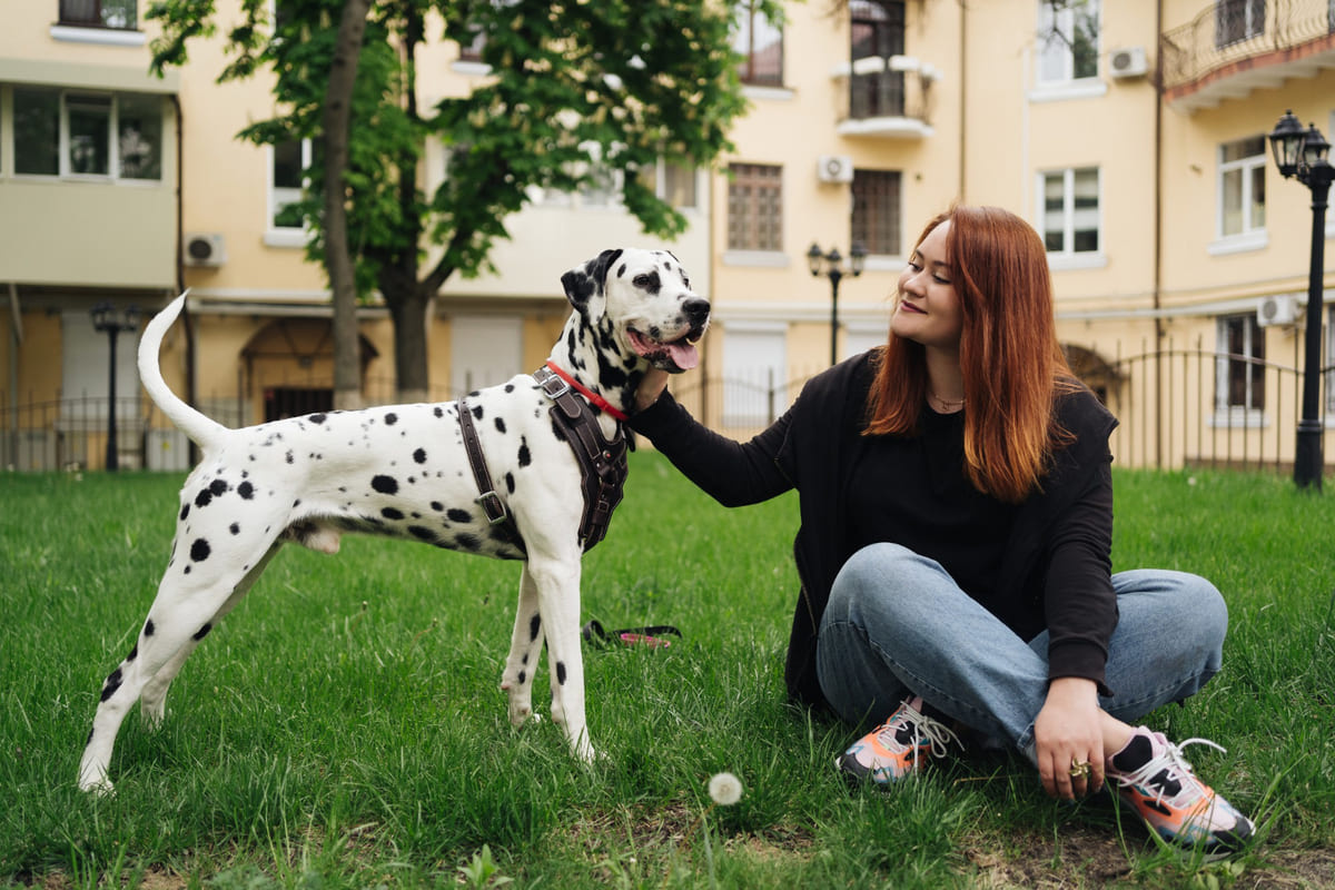 sahibiyle dışarıda zaman geçiren dalmaçyalı köpek