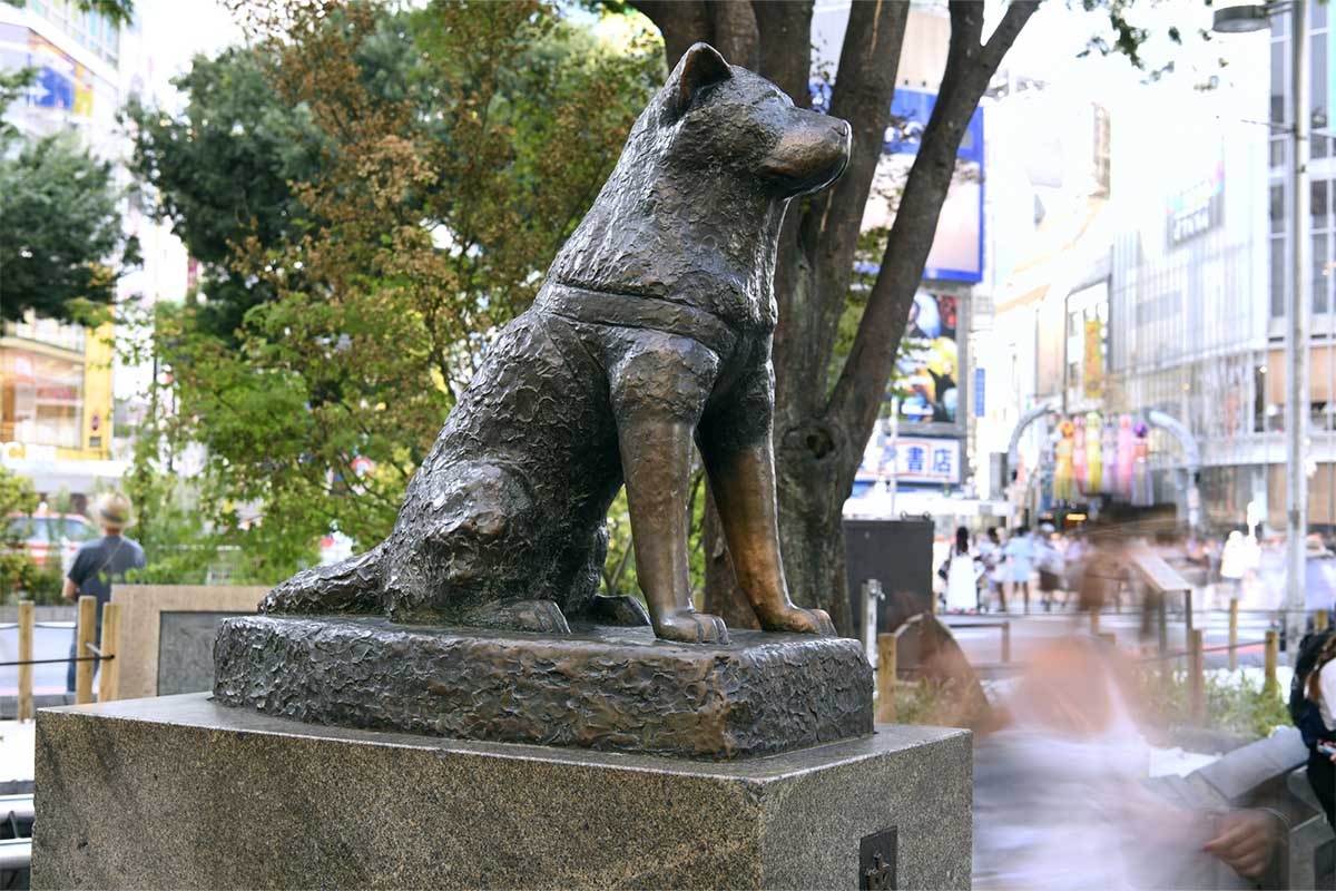 Hachiko'nun heykeli