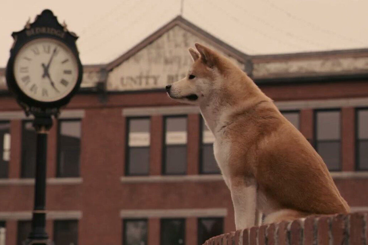 İstasyon önünde bekleyen Akita Onu