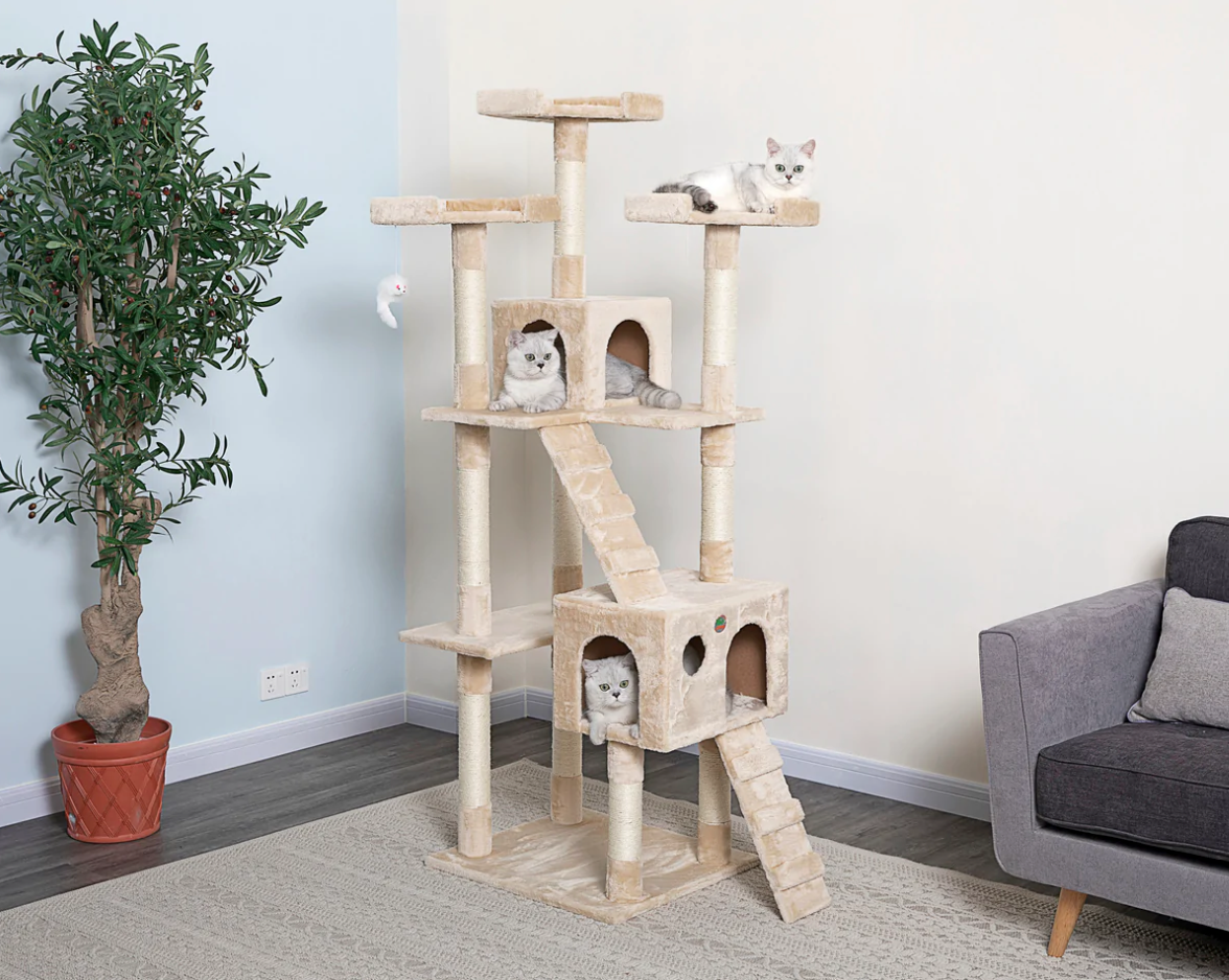 çok kedili evler için kedi ağacı