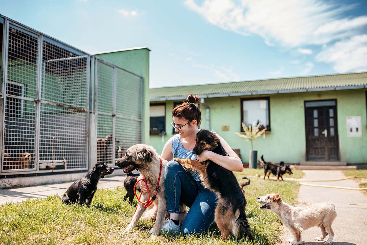 barınaktaki köpeklerle bir araya gelen kadın