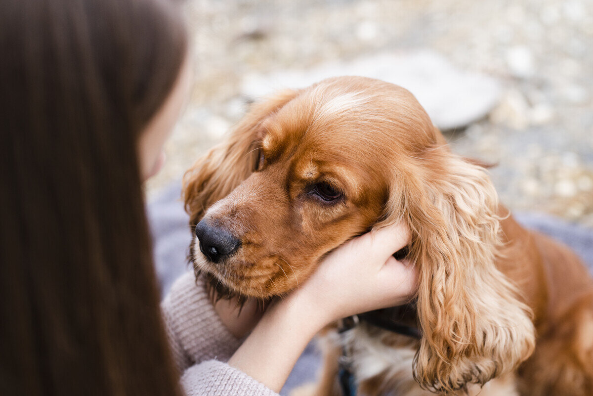 köpeğini seven kadın