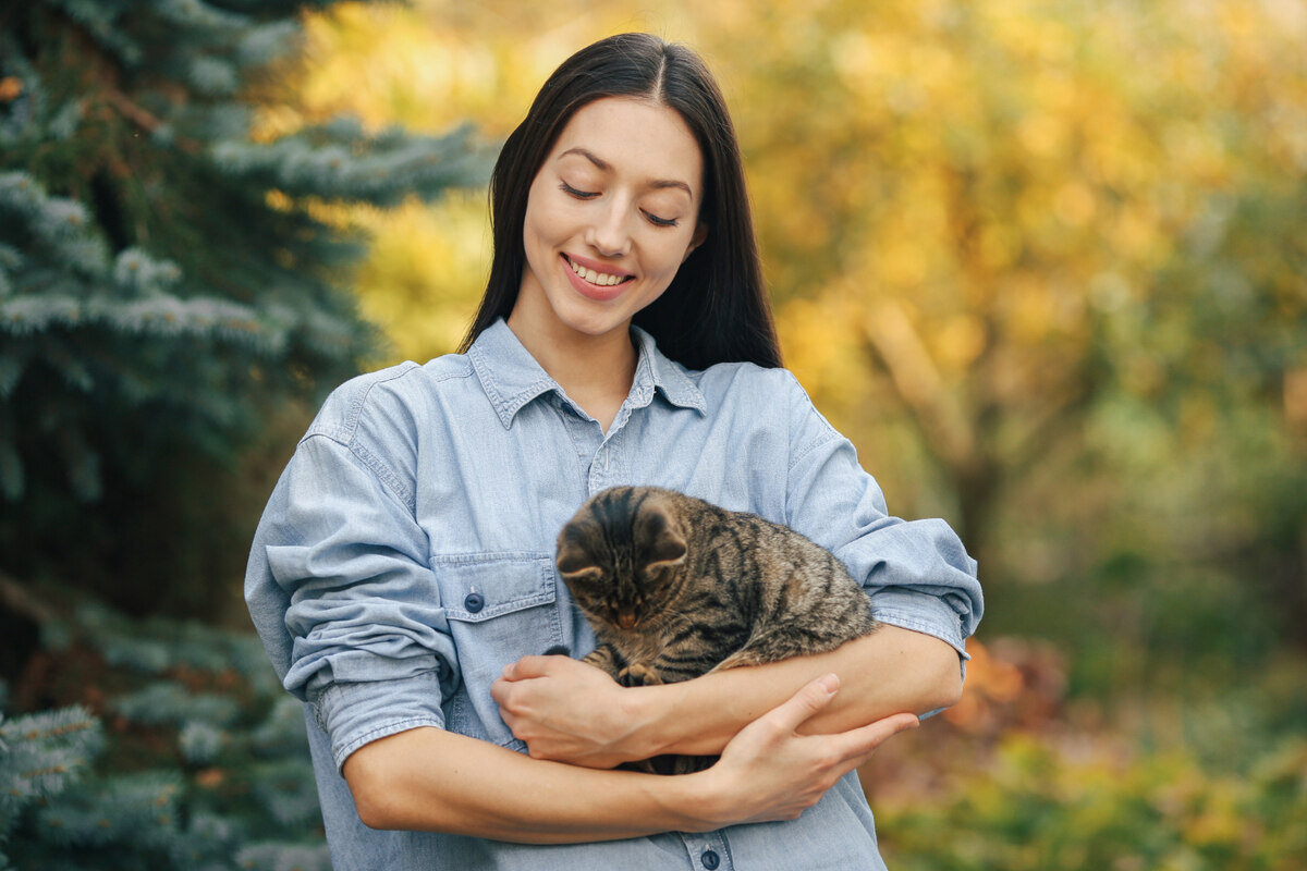 sahibinin kucağında duran tekir kedi