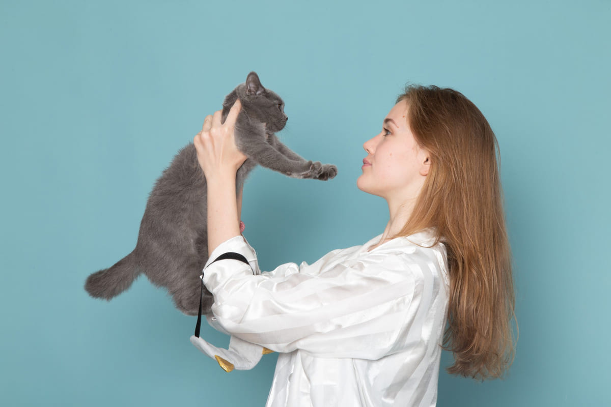 kadın tarafından kucaklanan gri kedi