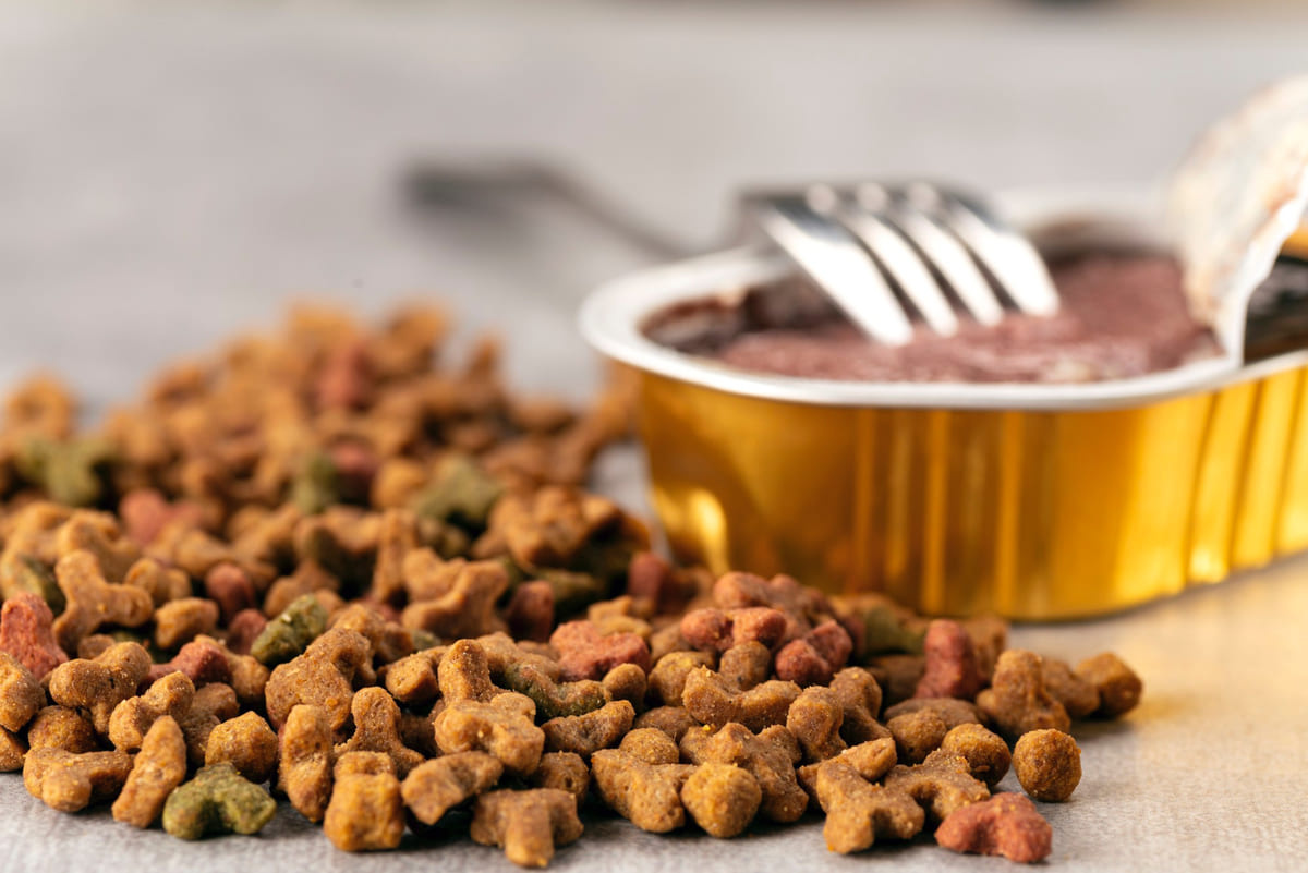 kuru ve yaş mama yan yana