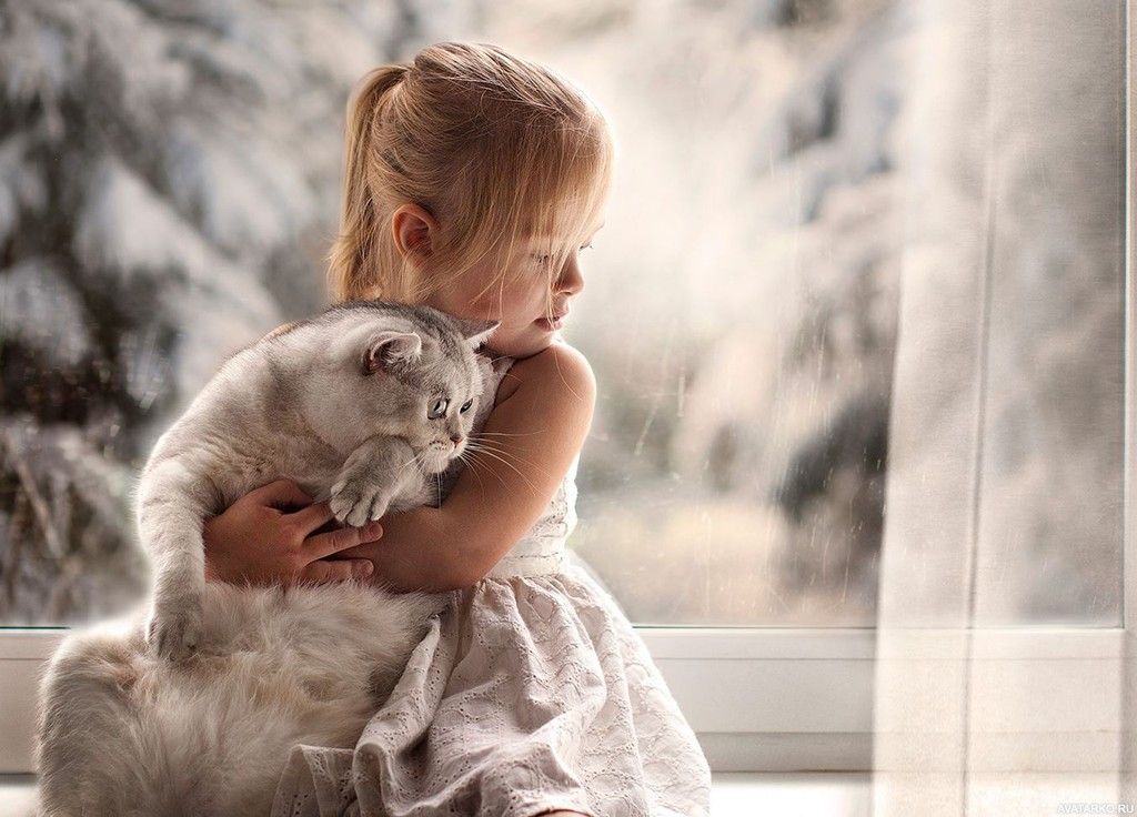 pencere kenarında oturan kız çocuğu bir kediye sarılıyor