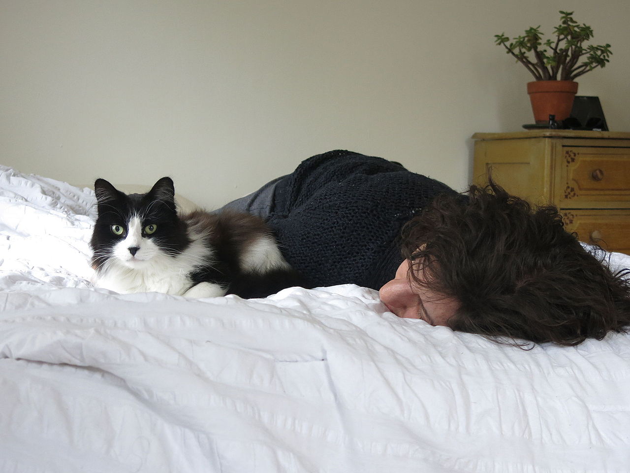 yatakta insanla yaran siyah beyaz kedi