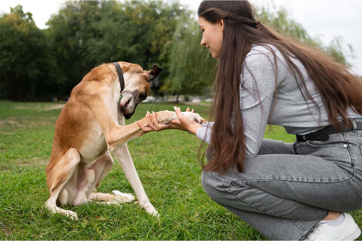 açık alanda köpeğin patisini tutan kadın