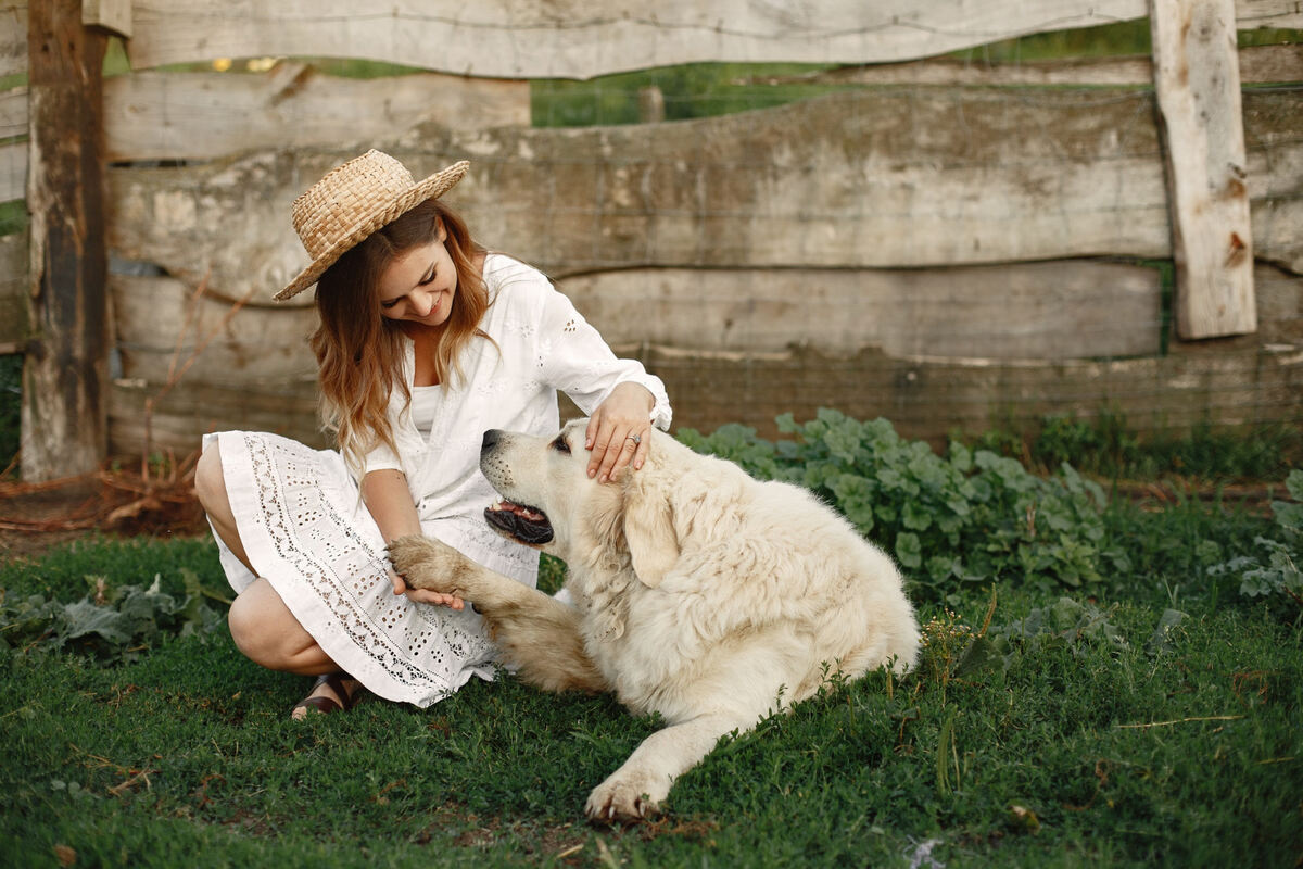 sahibiyle dışarıda zaman geçiren köpek