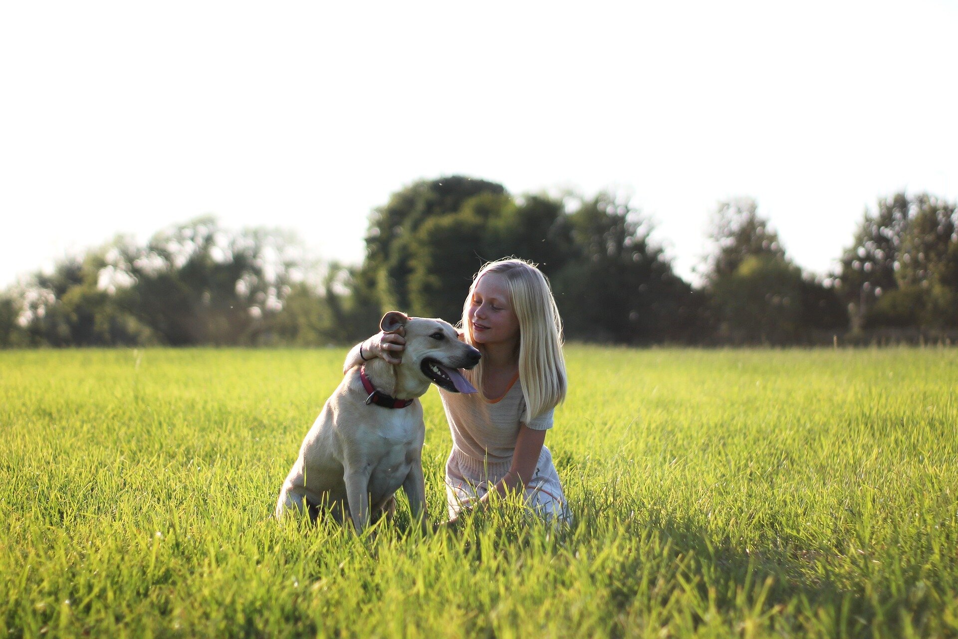çimlik alanda oturan sarışın kız ve köpek