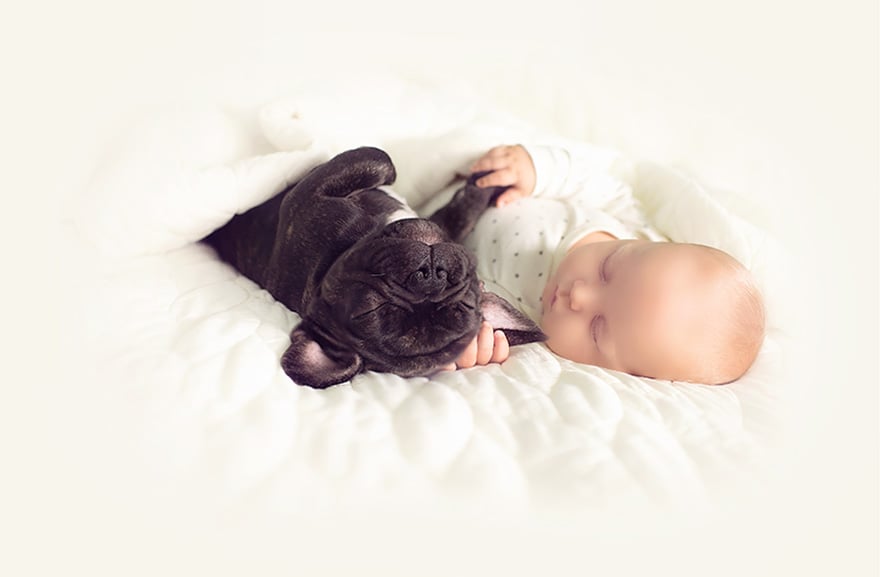 yatakta köpekle birlikte yatan bebek