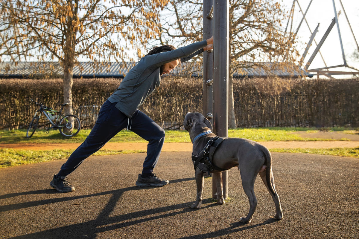 sahibiyle egzersiz yapan köpek
