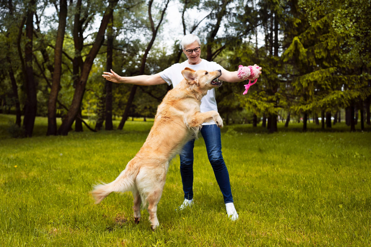 egzersiz yapan köpek