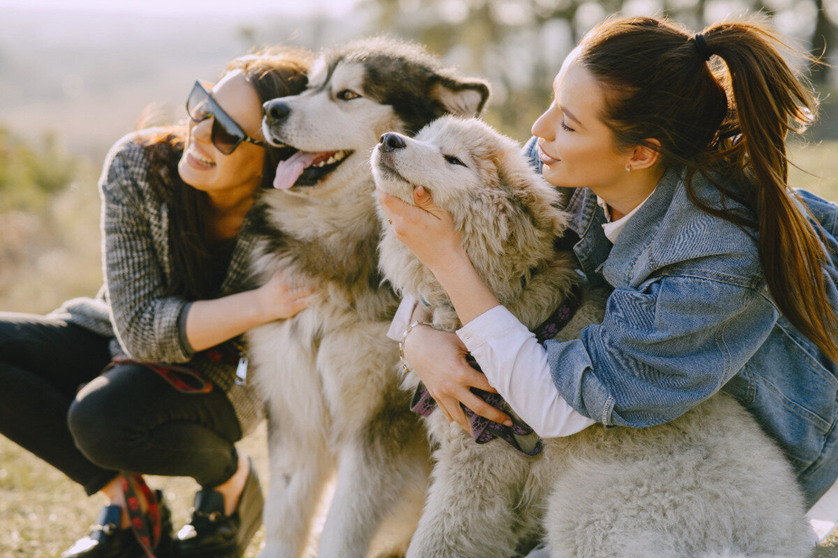 iki köpek ve iki kadın bir arada