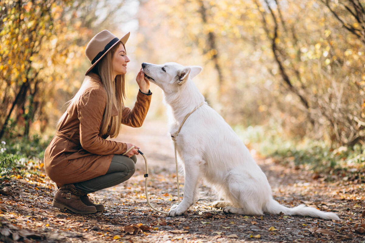 sahibiyle dışarıda zaman geçiren beyaz tüylü büyük ırk köpek