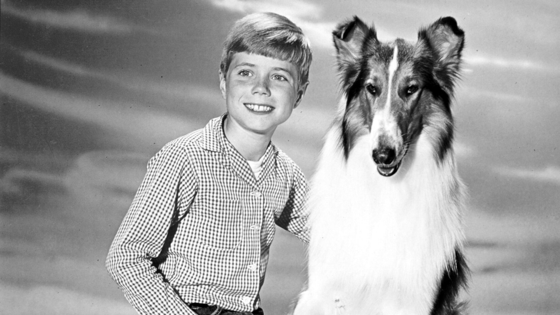 Pal isimli köpek, Lassie filminden