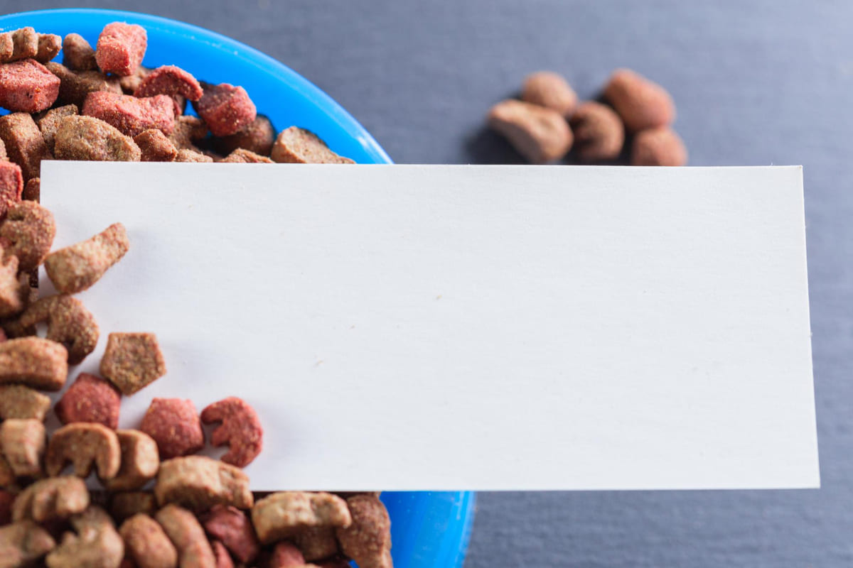 mamanın üzerine yerleştirilmiş boş kağıt