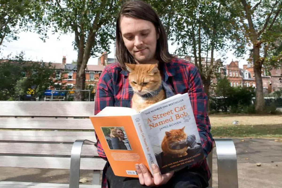 Sahibinin kucağında sokak kedisi bob, kendi hikayelerini anlatan kitaba bakıyor