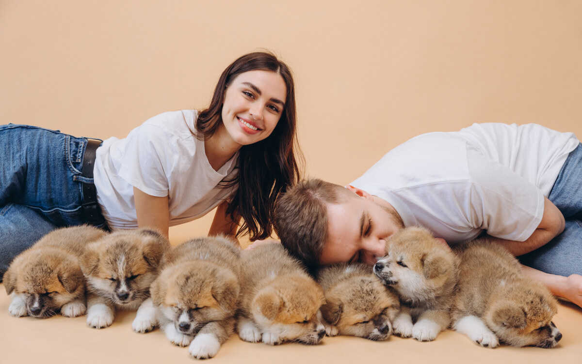 yavru köpeklerin yanında genç bir kadın ve erkek