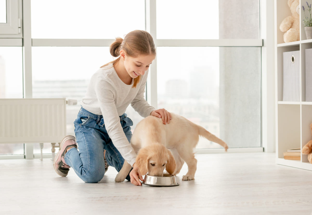 mama yiyen yavru köpeği tutan kız