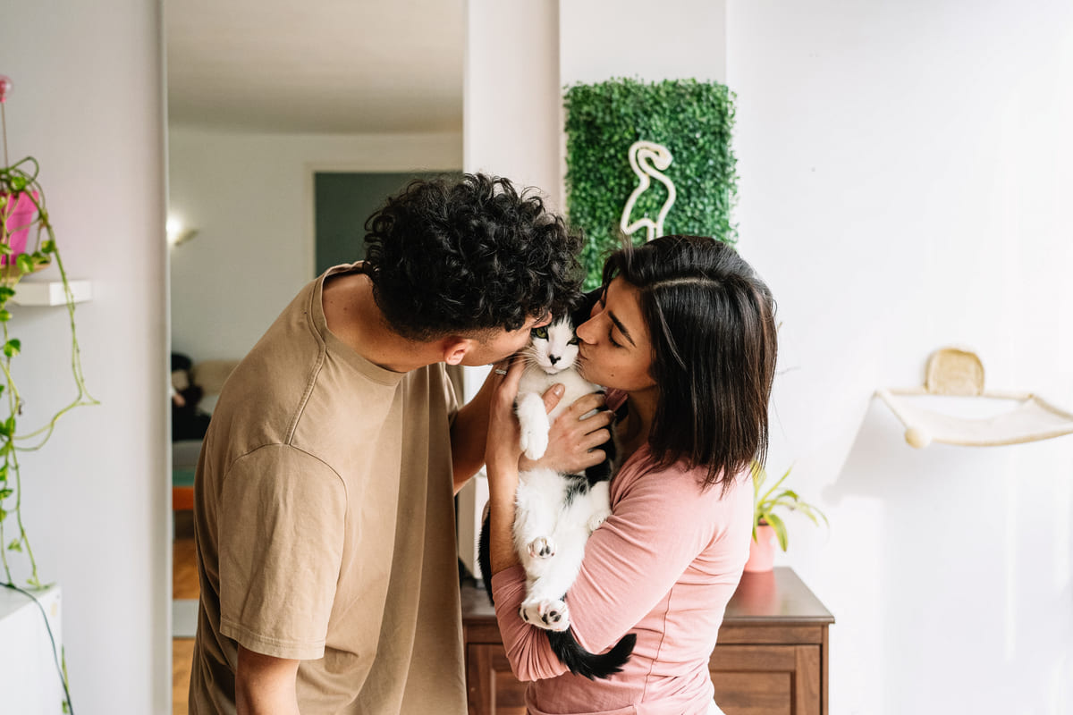 siyah beyaz kediyi aralarına alıp onu öpen bir çift