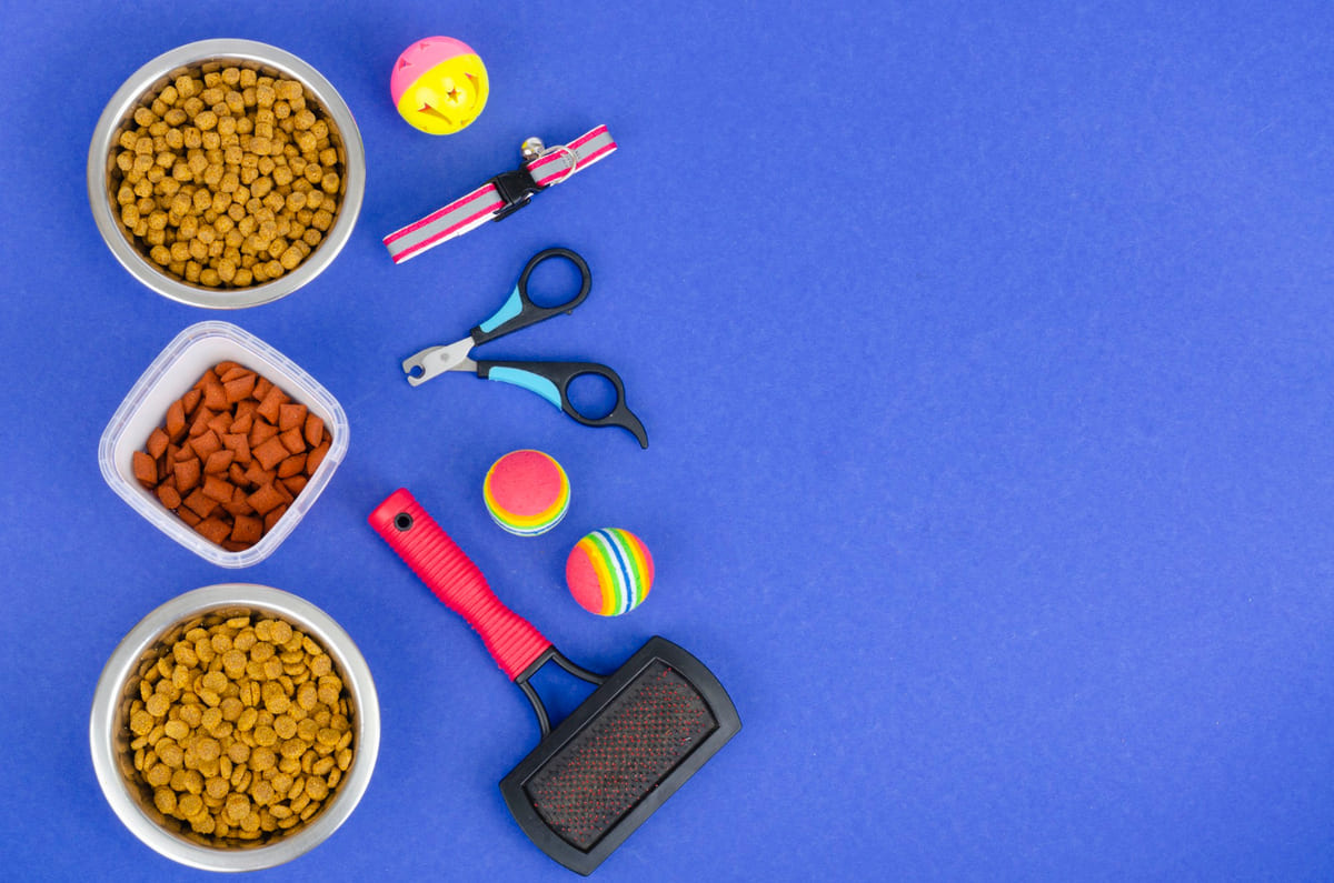 kedi ürünleri mor renkli bir zeminde duruyor