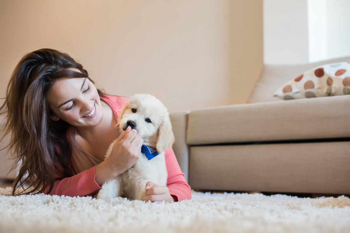 genç kadın tarafından beslenen yavru köpek