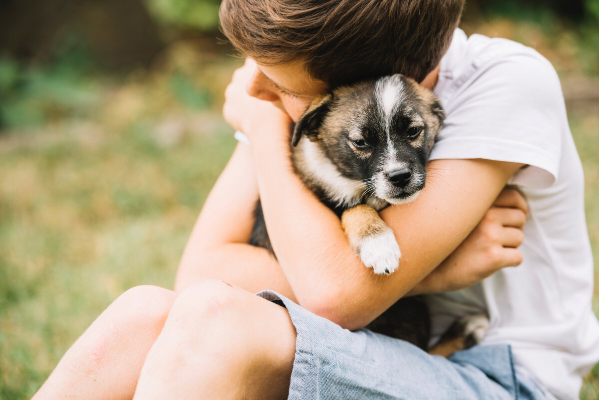 çocuğun sarıldığı yavru köpek