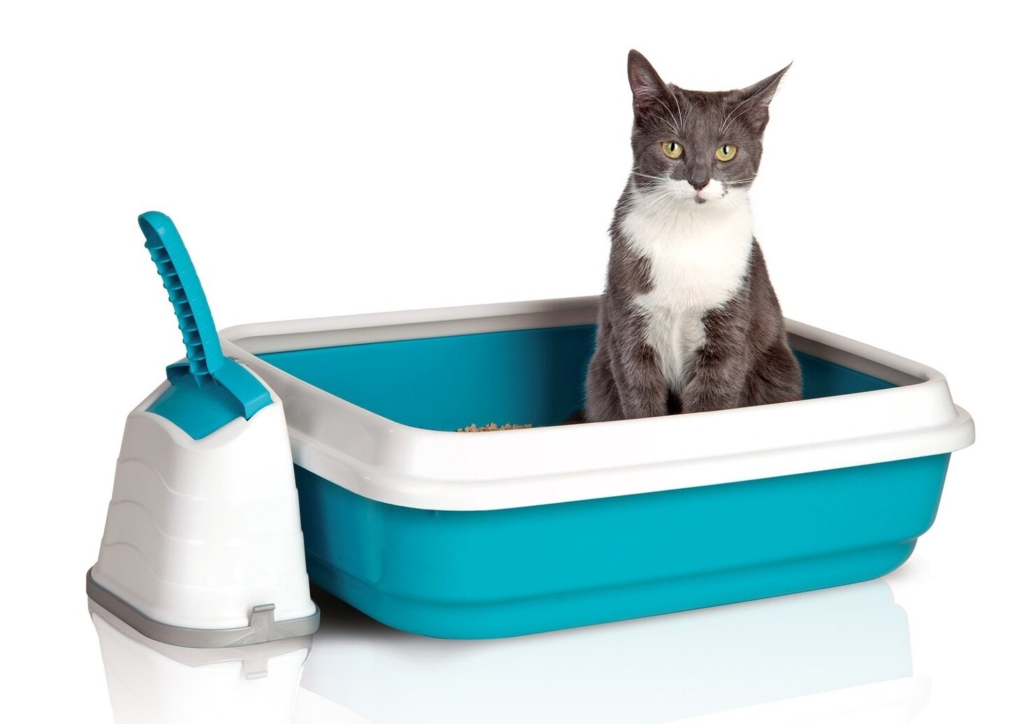 Аксессуары для лотка. IMAC Duo лоток для кошек. Туалет для кошек Cat Litter. Лоток открытый IMAC Duo. Наполнитель для кошачьего туалета.