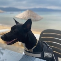 Ceku Balım fotoğraf