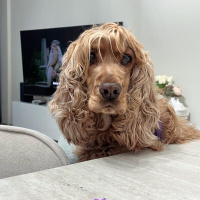 Milka