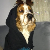 Pablo