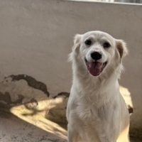 Eva fotoğraf