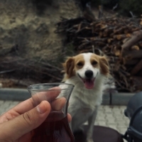 Boncuk fotoğraf