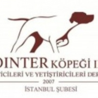 hayvansever3535 kullanıcısının #52748 peti