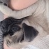 Rocky