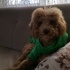 Lucky