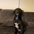 LOKİ