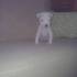 misha