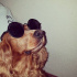 Arthur
