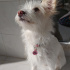 Lucy