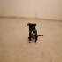 Zeytin
