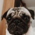 Puffy