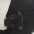 Zeytin